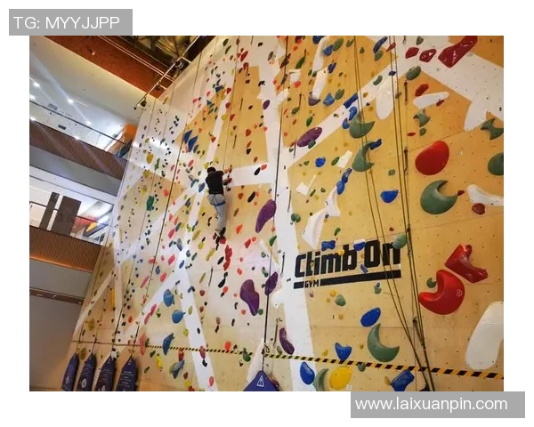 北京攀岩队耐力表现数据分析探讨与训练策略优化研究 北京攀岩队耐力表现数据分析探讨与训练策略优化研究