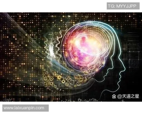 北京羽毛球队战术解析与实战应用的深度探讨与思考